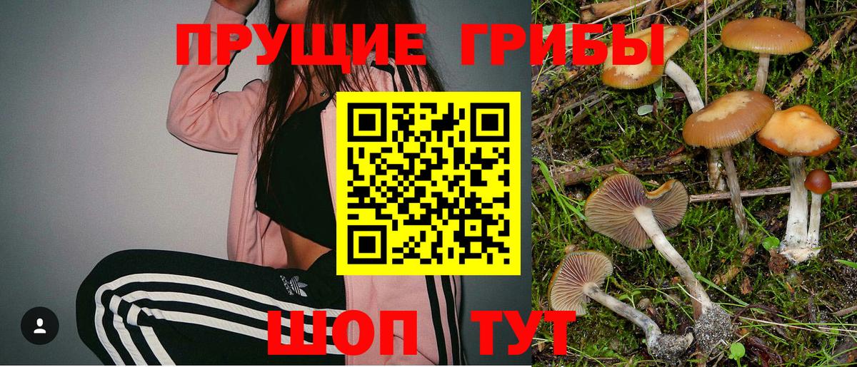 Галлюциногенные грибы мицелий Можайск