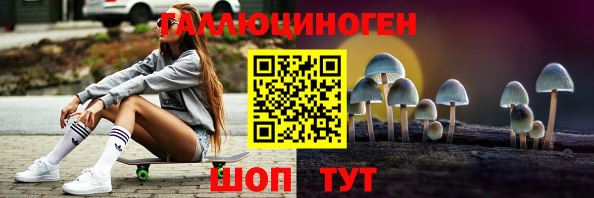 Можайск  Галлюциногенные грибы Psilocybe  закладки  Вход с VPN 